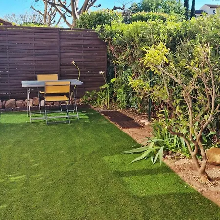Etoile Bleue Piscine, Jardin Et Douceur De Vivre Daire Carqueiranne